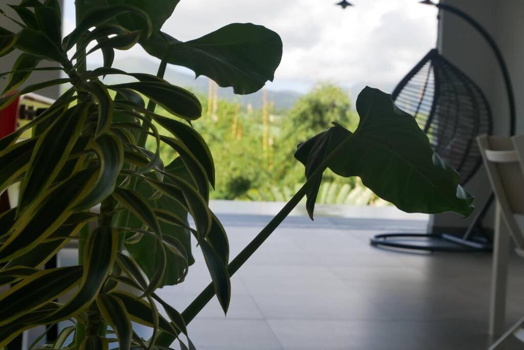 Villa Kumquat Avec Piscine Et Vue Sur Les Montagnes Petit-Bourg Exterior foto