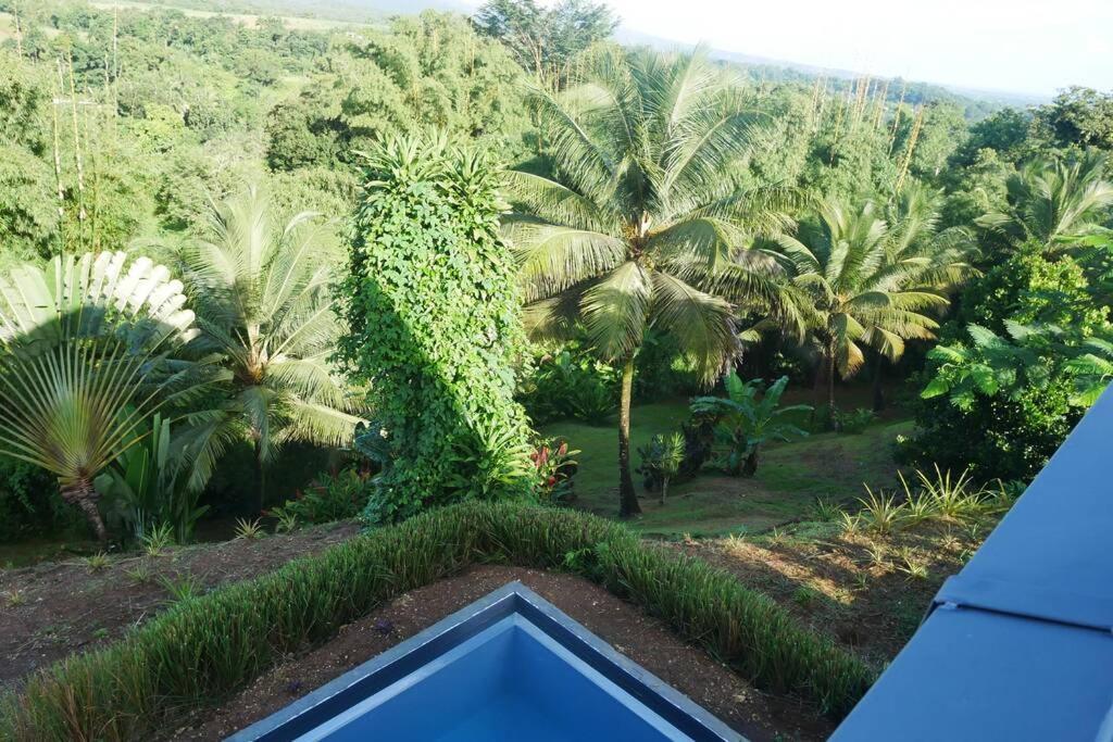 Villa Kumquat Avec Piscine Et Vue Sur Les Montagnes Petit-Bourg Exterior foto